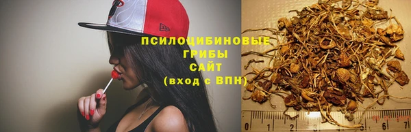 бутират Каменногорск