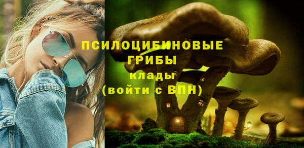 кокаин премиум Каменка
