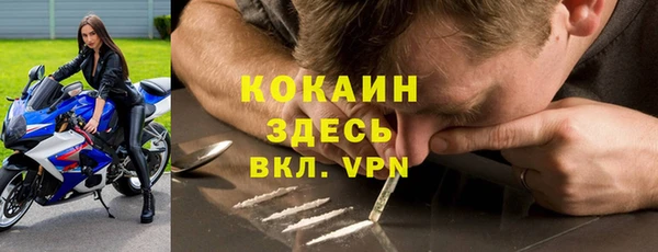 крисы Пестово