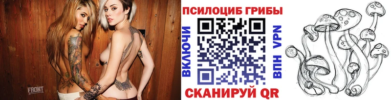 Галлюциногенные грибы Cubensis  OMG как войти  Новоалтайск  закладка 